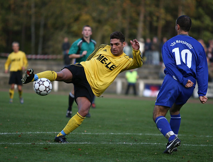 TSG Neustrelitz (43)